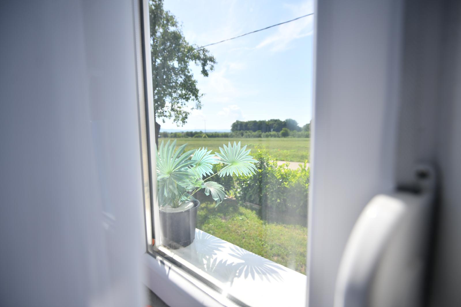 Blick ins Grüne